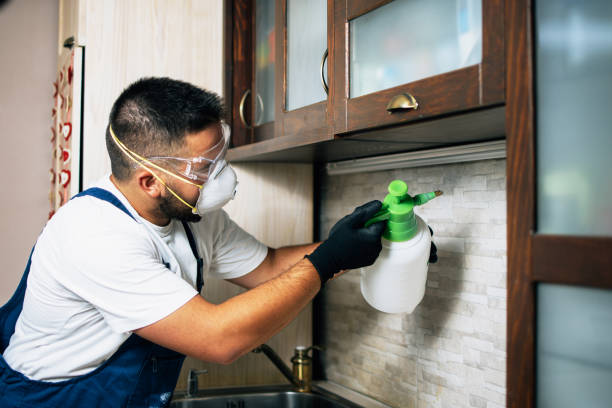Best Pest Removal Services  in West Point, UT