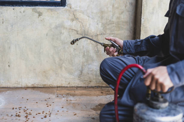 Best Affordable Pest Control Services  in West Point, UT